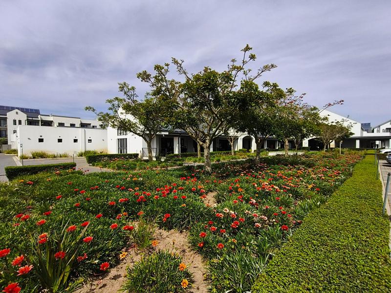 1 Bedroom Property for Sale in Buh Rein Estate Western Cape